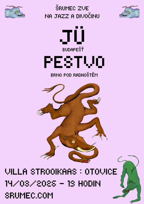 Koncert kapel Jü a Pestvo